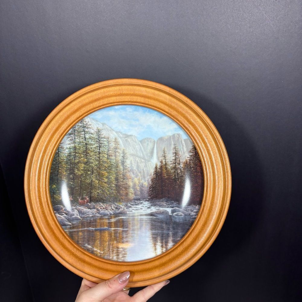 1988 Collector's Plate, Yosemite Falls Harry Johnson, NEW W.S. George Fine China